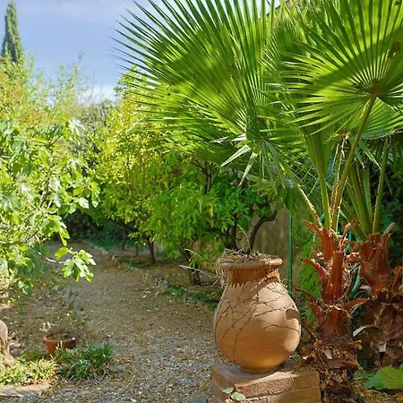 Maison De Maitre Centre Hyères