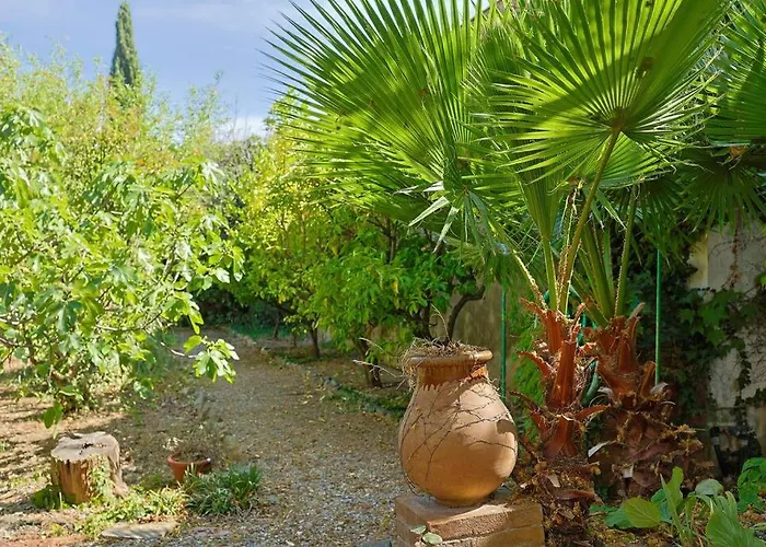 Maison De Maitre Centre Hyères