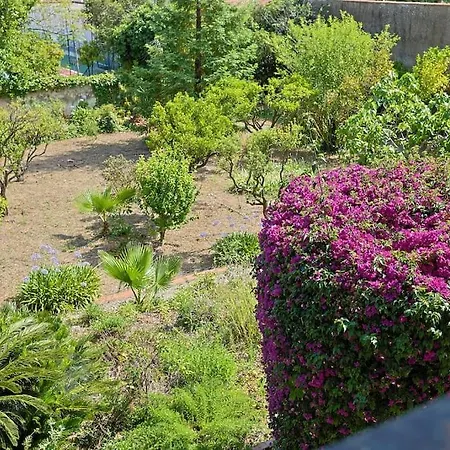 Willa Maison De Maitre Centre Hyères