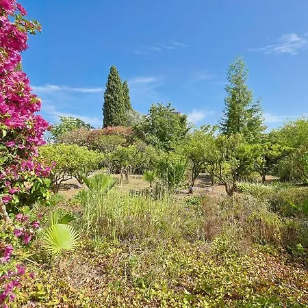 Maison De Maitre Centre
