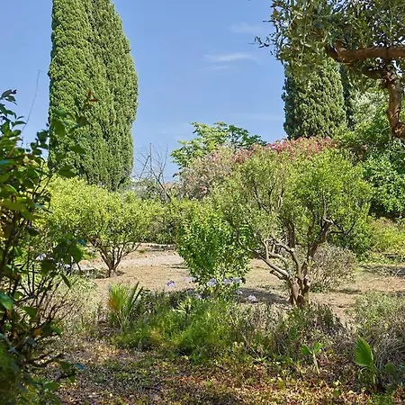 Maison De Maitre Centre 别墅 *