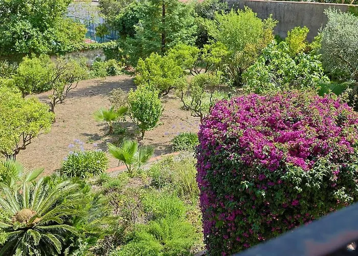 Villa Maison De Maitre Centre Hyères