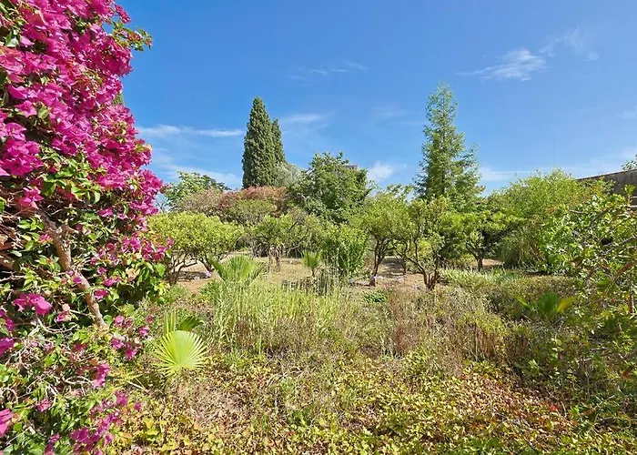 Maison De Maitre Centre